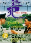 Watch Prison on Fire 2 (Movie) online
