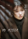 Watch My Mister online